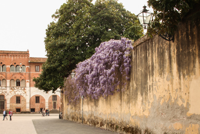 From my recent quick photography trip to Italy