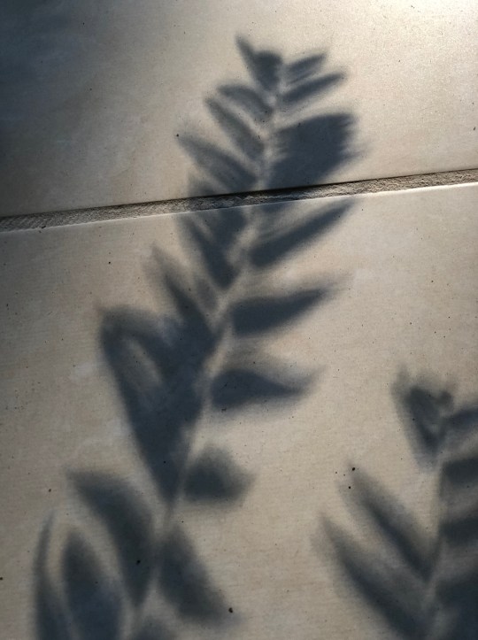 Mick Hales Photography