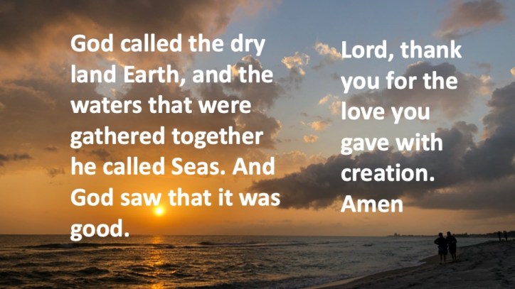 Mick Hales Photography 1