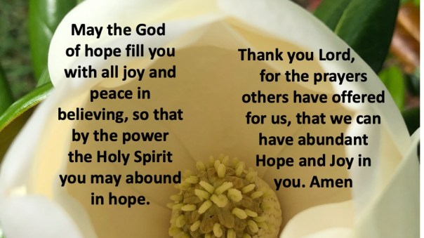 Mick Hales Photography 1