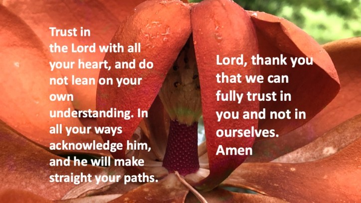 Mick Hales Photography 1