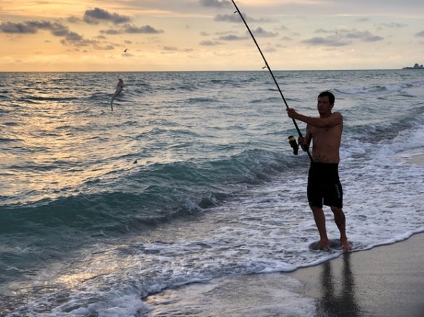 Mick Hales Photography