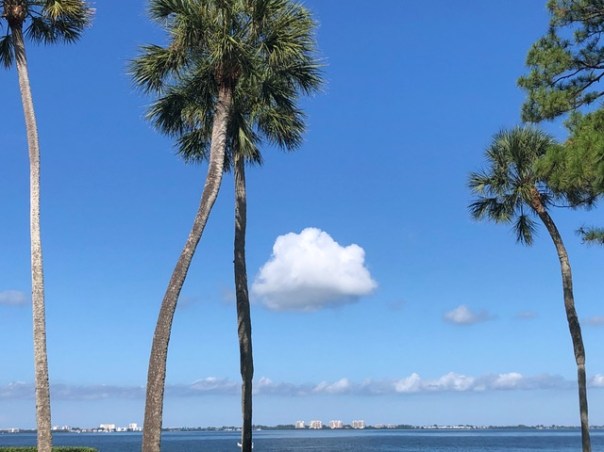 Mick Hales Photography