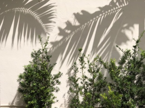 Mick Hales Photography