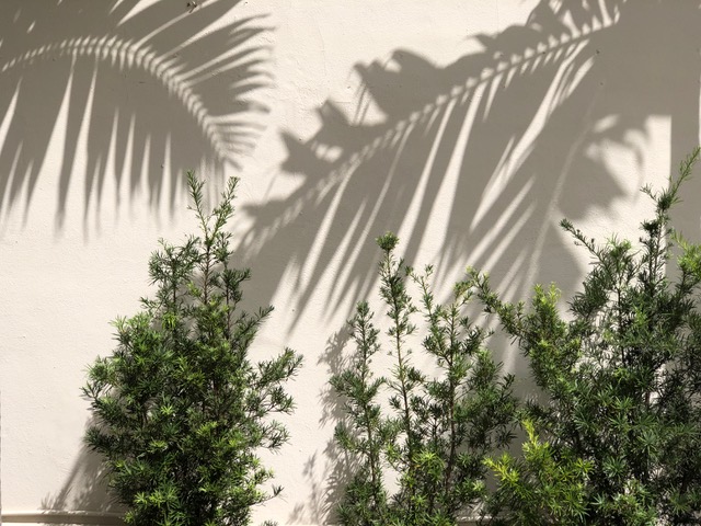 Mick Hales Photography