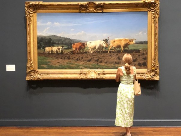 Mick Hales Photography