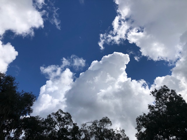 Mick Hales Photography