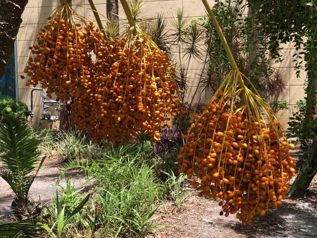 Kingdom Arts Ministry, Mick and Christine Hales